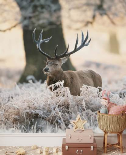 stag in winter setting wallpaper