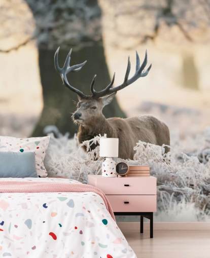 cerf en hiver fond d'écran