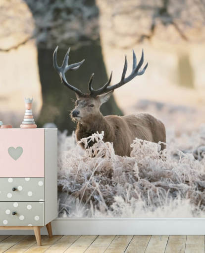stag in winter setting wallpaper