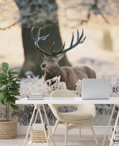 fondo de pantalla de ciervo en invierno