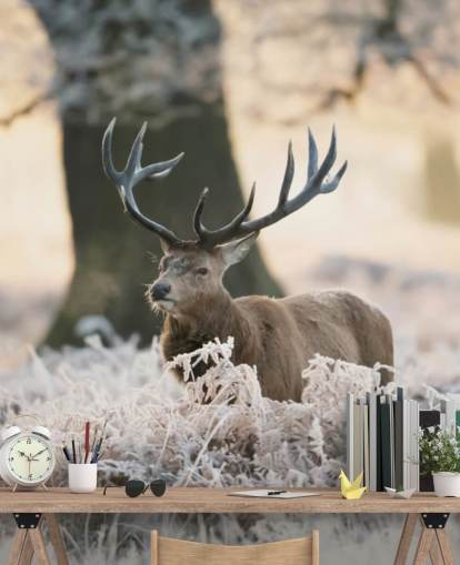 stag in winter setting wallpaper