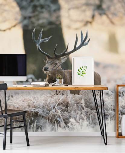 Hirsch im Winter Einstellung Tapete