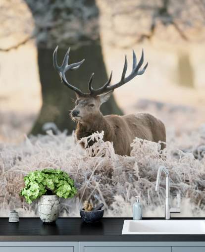 cerf en hiver fond d'écran
