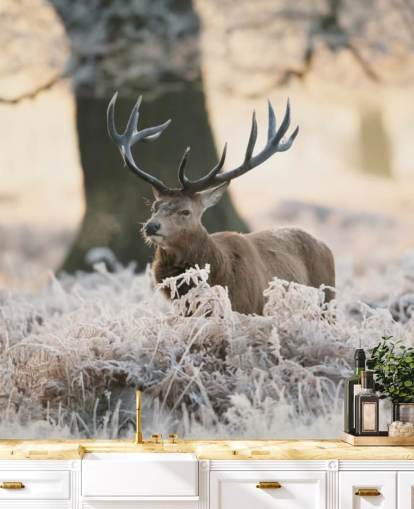 sfondo di addio al celibato in inverno