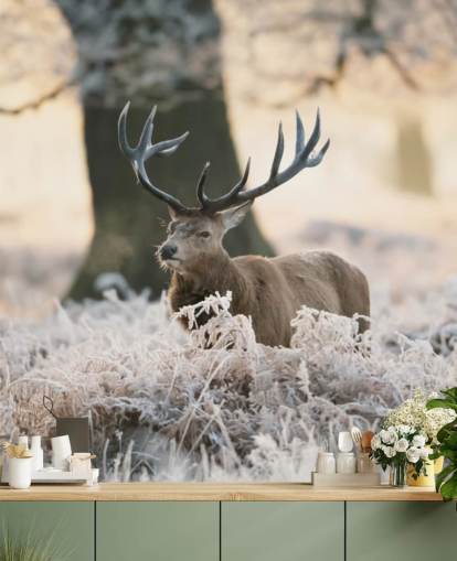 stag in winter setting wallpaper stag in winter setting wallpaper