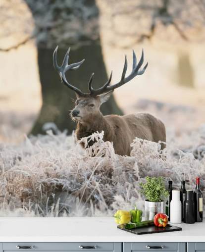 stag in winter setting wallpaper