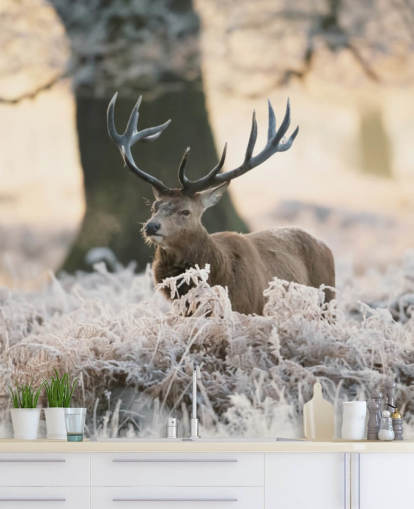 stag in winter setting wallpaper stag in winter setting wallpaper