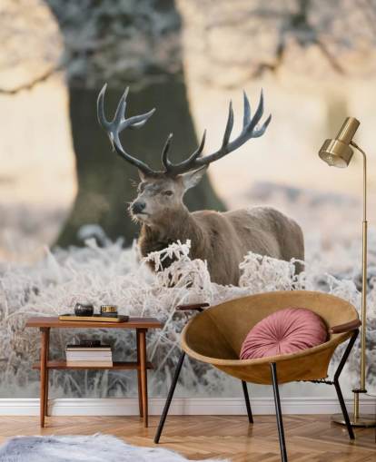 stag in winter setting wallpaper stag in winter setting wallpaper