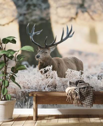 cerf en hiver fond d'écran cerf en hiver fond d'écran