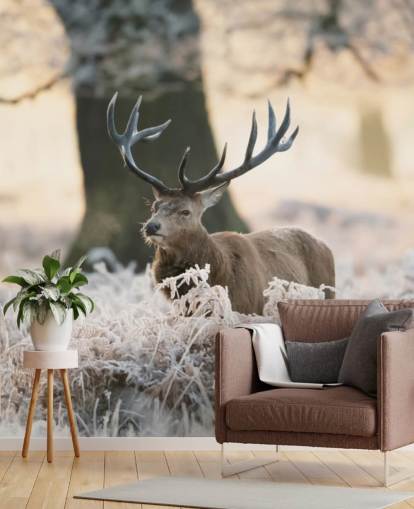 stag in winter setting wallpaper stag in winter setting wallpaper