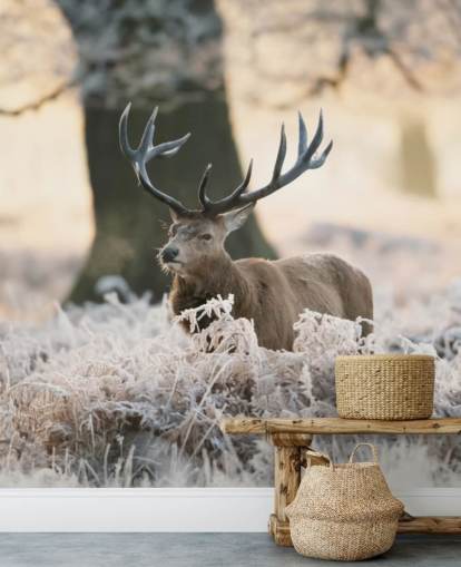 stag in winter setting wallpaper