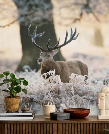 fondo de pantalla de ciervo en invierno fondo de pantalla de ciervo en invierno