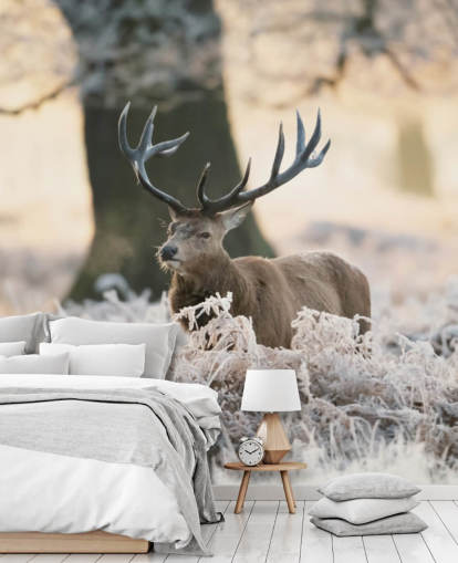 stag in winter setting wallpaper stag in winter setting wallpaper