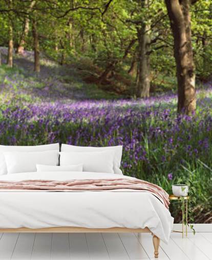 papel de parede texas bluebell woodland