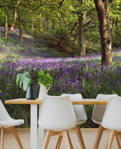 carta da parati texas bluebell woodland