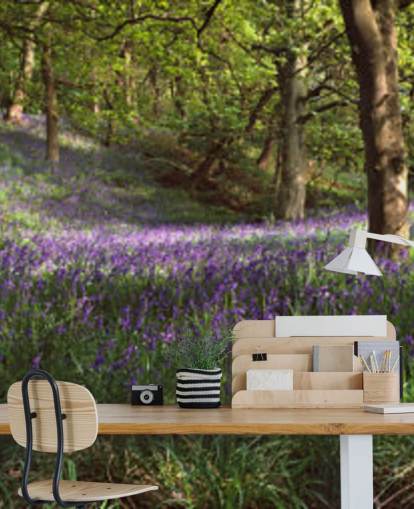 fondo de pantalla texas bluebell woodland