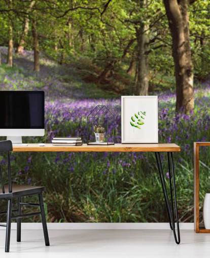 papel de parede texas bluebell woodland