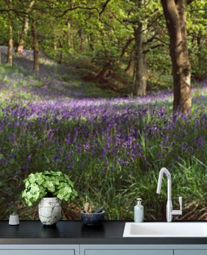 texas bluebell skov tapet texas bluebell skov tapet
