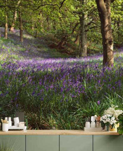 papier peint texas bluebell woodland