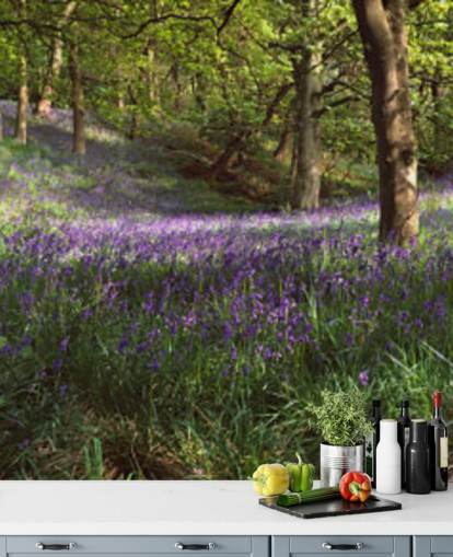 papel de parede texas bluebell woodland