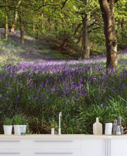 texas bluebell woodland wallpaper