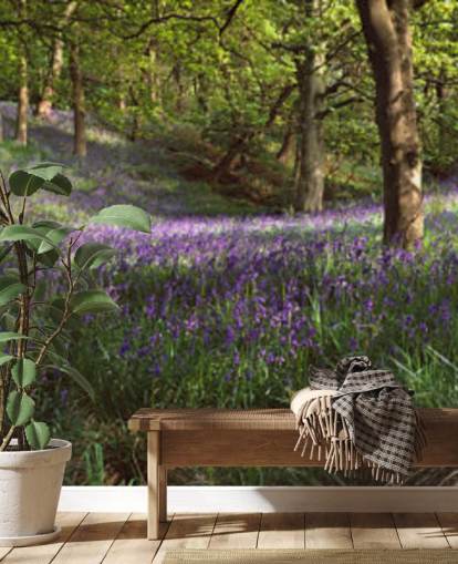 papier peint texas bluebell woodland