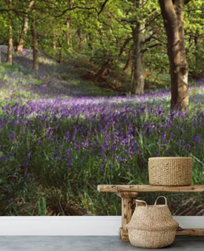 texas bluebell woodland tapetti texas bluebell woodland tapetti