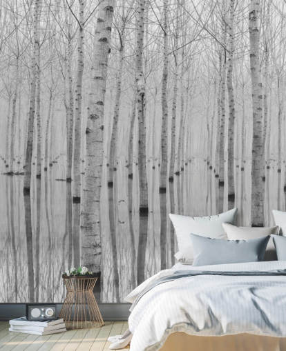 papier peint forêt de bouleaux noir et blanc