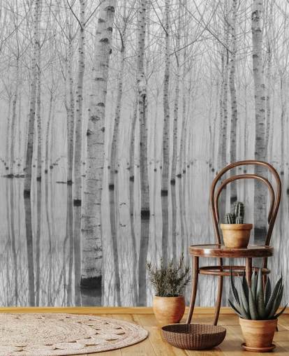 black and white birch tree forest wallpaper