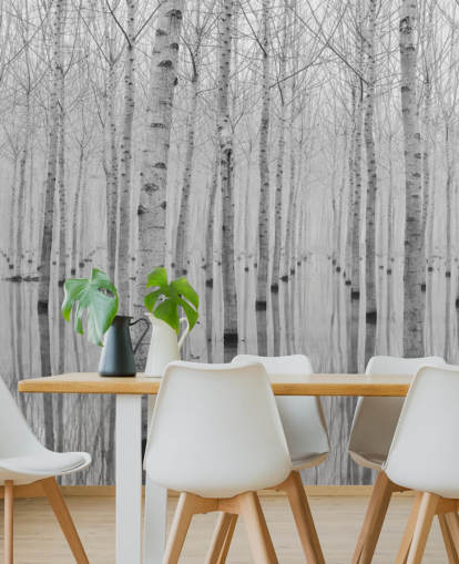 black and white birch tree forest wallpaper black and white birch tree forest wallpaper