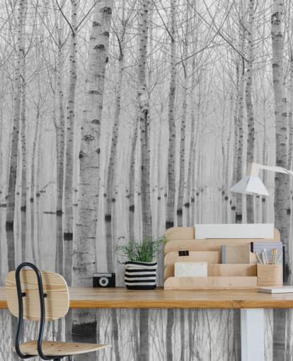 papier peint forêt de bouleaux noir et blanc