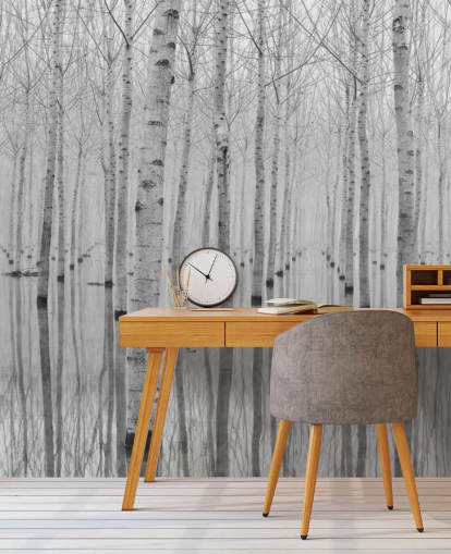 black and white birch tree forest wallpaper