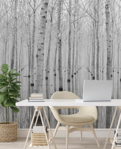 papier peint forêt de bouleaux noir et blanc