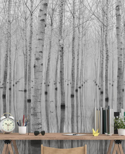 papel tapiz de bosque de abedul blanco y negro