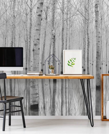 papel de parede floresta de bétula preto e branco papel de parede floresta de bétula preto e branco