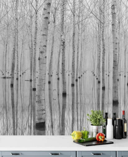 black and white birch tree forest wallpaper
