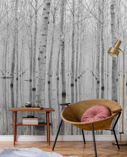 black and white birch tree forest wallpaper