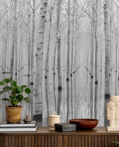 black and white birch tree forest wallpaper