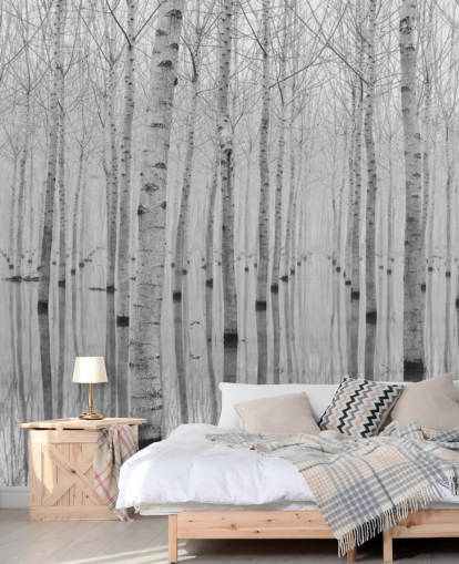 papier peint forêt de bouleaux noir et blanc papier peint forêt de bouleaux noir et blanc