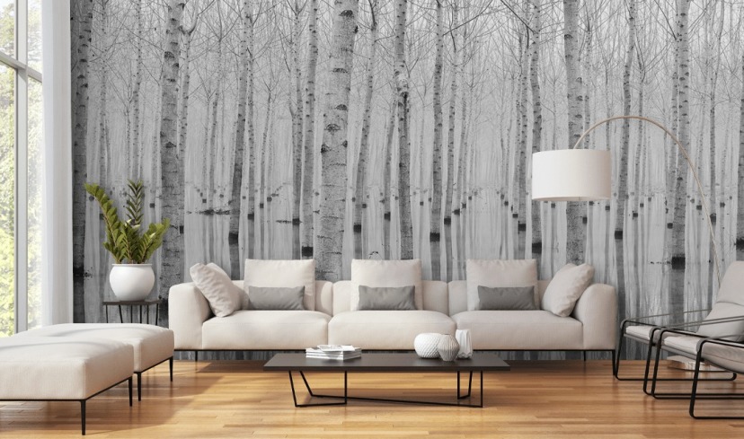Wallpaper With Birch Trees Wall Mural Black And White Birch Trees