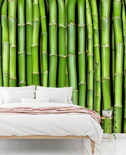 Papier peint Green Sparks of Bamboo