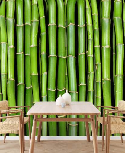 Papel pintado de tallos verdes de bambú
