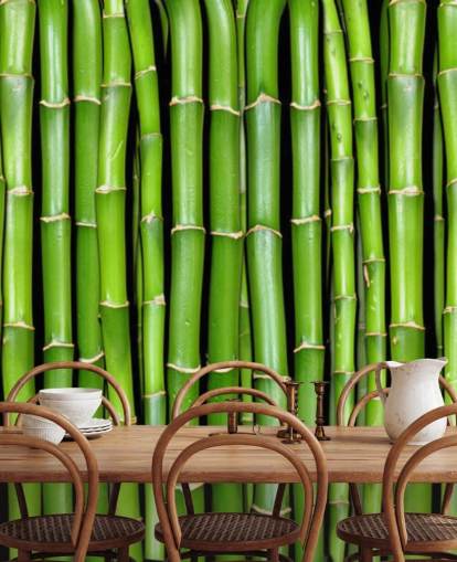Behang met groene stengels van bamboe