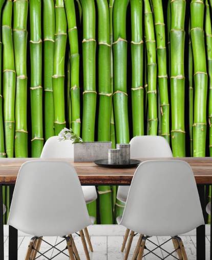 Papel de parede de talos verdes de bambu