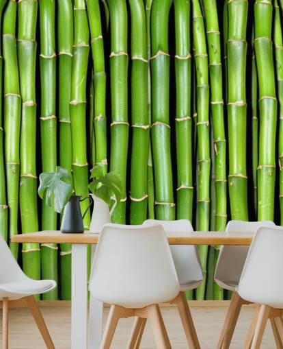 Behang met groene stengels van bamboe