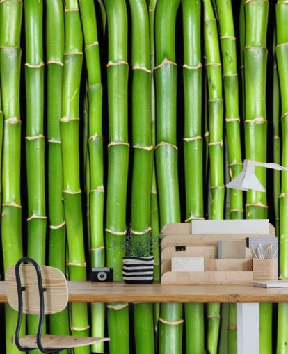 Green Stalks of Bamboo Wallpaper