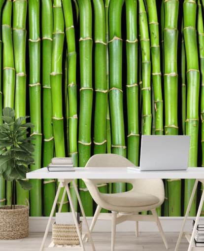 Papier peint Green Sparks of Bamboo