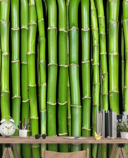 Papier peint Green Sparks of Bamboo