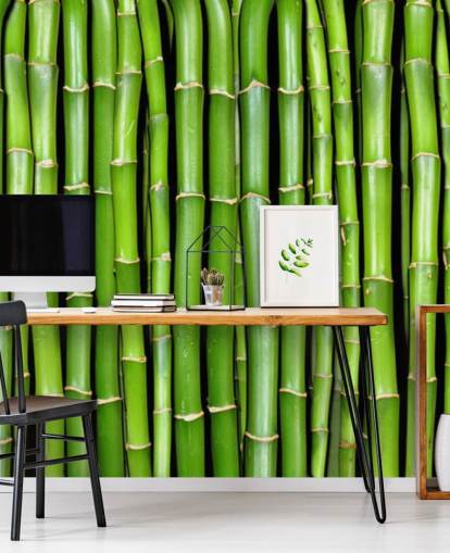 Green Stalks of Bamboo Wallpaper