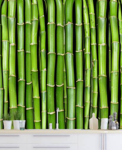 Green Stalks of Bamboo Wallpaper